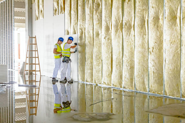 Best Specialty Insulation in Silver Firs, WA